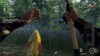 Triple Feeder Rod Stand  Neherrin River  Fishing Planet [upl. by Gawen548]