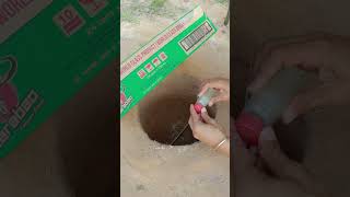 Very Easy Pigeon Trap Using Paper Box shorts birds pigeon [upl. by Griz107]