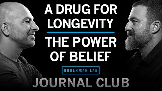 Journal Club with Dr Peter Attia  Metformin for Longevity amp The Power of Belief Effects [upl. by Adiel342]