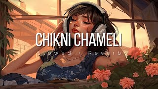 Chikni Chameli Slowed  Reverb  Item Song  Lofi  Lofi Munda [upl. by Haeluj614]