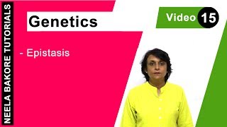 Genetics  Principles of Inheritance amp Variations  NEET  Epistasis  Neela Bakore Tutorials [upl. by Pardo]