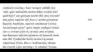 Aeneid Book II 559633 Latin Reading Hexameters [upl. by Waverly]