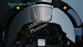 DCS  The AntiBVR fight  F15E vs F14B [upl. by Pardoes]