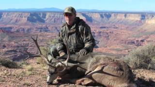 Mule Deer Dwellers of the Southwest [upl. by Aillicsirp]