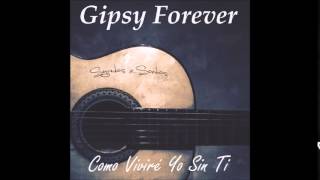 Música Cigana Sexed Up  Gipsy Forever  Como viviré yo sin ti [upl. by Orvah421]