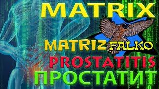 ПРОСТАТИТ  PROSTATITIS [upl. by Myk]