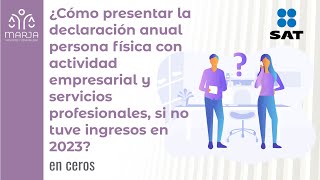 Declaración anual persona física con actividad empresarial y servicios profesionales sin ingresos [upl. by Lam]