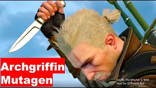 WHERE is the ArchGRIFFIN mutagen for the decoction in Witcher 3 location EXPOSED [upl. by Roe]