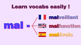 Learn EnglishSpanishFrench words from their origin OV3 mal [upl. by Pelmas]