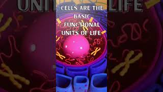 Cells Are The Basic Functional Unit Of Life shortsfeed cellbiology cell [upl. by Chemarin]