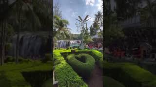 திற்பரப்பு அருவி SAJIN SARANYAtravel trendingshorts india love nature falls [upl. by Eivets696]