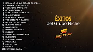 Éxitos Del Grupo Niche  Salsa Power [upl. by Kallman]