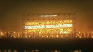 Perros Salvajes Remix Old vs Perreo Duro  Adriel Garcia amp Maate Dj  Daddy Yankee [upl. by Nirehtak]