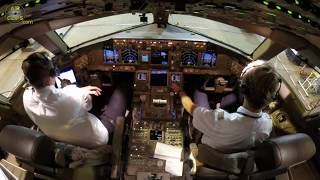 B777F ULTIMATE COCKPIT MOVIE Lufthansa Cargo Captain Rikard delivers two pregnant horses AirClips [upl. by Helsell519]