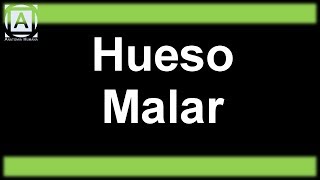 Hueso Malar [upl. by Ahsiuqat]