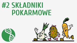 Składniki pokarmowe 2  Odżywianie [upl. by Kassity945]