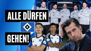 Der HSV wird so NIEMALS Aufsteigen [upl. by Jamila]