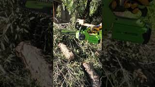 GreenWorks 40v Chainsaw hungry for wood [upl. by Magen]