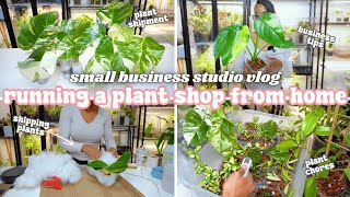 Running a Plant Store From Home Vlog🪴Unboxing New Plant Shipment Website Restock Shipping Plants [upl. by Alber]