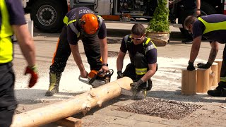 Schwechater Maibaum versteigert [upl. by Giusto]