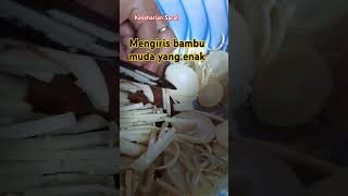 Mengiris bambu mudarebung Dendrocalamus asper shortvideo shorts short [upl. by Cressler297]