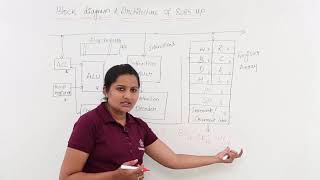 Block Diagram amp Architecture Of 8085 Microprocessor [upl. by Annunciata8]