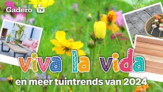 Tuininspiratie 2024 Viva la Vida Gentle Paradox en Duurzaam Genieten [upl. by Kcirdet]