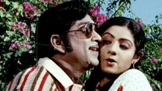 Premabhishekam Songs  Na Kallu Cheputunnayi  ANR Sridevi  HD [upl. by Nedloh]