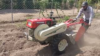 small tractor gujrat farmer mini tractor gondaltractor [upl. by Llennej]