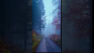 Quran Tilawat beautiful voice bestvoicetilawat nature qurantilawat [upl. by Airotkiv]