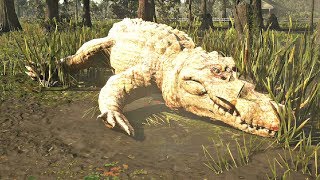 Red Dead Redemption 2  Legendary Giant Crocodile Hunt [upl. by Acenom]