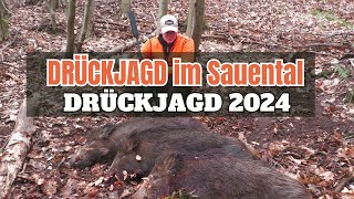 DRÜCKJAGD im SAUENTAL I 2024 I Sauen Rotwild Rehwild [upl. by Sanfred]