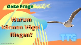 Warum können Vögel fliegen  TTS  gutefrage [upl. by Odinevneib]