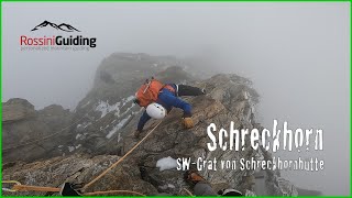 Schreckhorn SWGrat Normalroute [upl. by Phia]