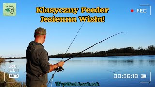 W końcu ryby z jesiennej Wisły Klasyczny feeder nad dużą rzeką [upl. by Marra552]