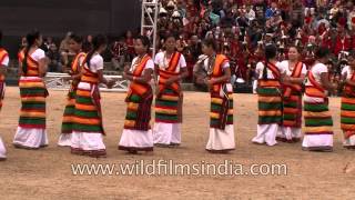 DimasaKachari women folk song and dance [upl. by Maxey]