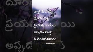 Telugu whatsapp status Telugu Dialouge Status Emotional status Telugu whatsapp videos love shorts [upl. by Ciccia937]