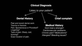 Endodontic Diagnosis amp Treatment Planning [upl. by Aihsenrad]