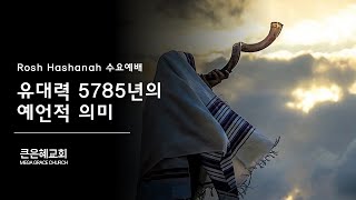 MEGA GRACE CHURCH 큰은혜교회 수요예배 [upl. by Margaretta775]