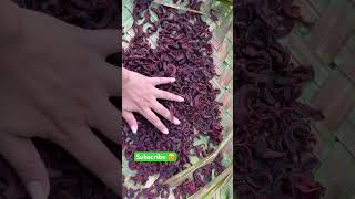 Dried pot tamarind🍅😊Goraka food fishcurry fishambulthiyal shortvideo cooking [upl. by O'Gowan]