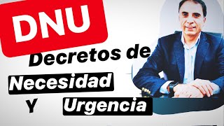 PODER EJECUTIVO DECRETO DE NECESIDAD Y URGENCIA Constitución Nacional Derecho Constitucional [upl. by Innaig]