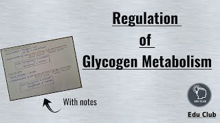 Regulation of Glycogen Metabolism  Glycogen metabolism  Carbohydrate metabolism  Biochemistry [upl. by Staffard]