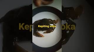 kepiting soka  soft caravas [upl. by Purvis]