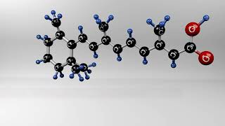 Primary amp Secondary Metabolites in Plant biology [upl. by Gazo14]