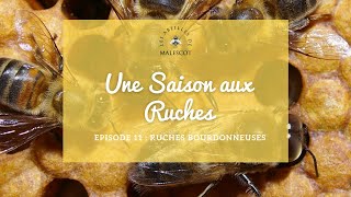 Une Saison Aux Ruches Episode 11 🐝 [upl. by Guillaume276]