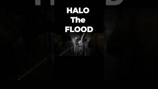 HALO The FLOOD HALO SEASON TWO skandogvids haloseason2 halotheseries halo theflood halolore [upl. by Delahk]