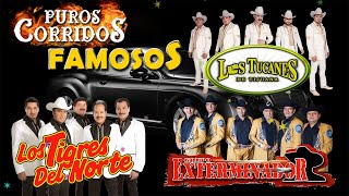 Puros Corridos Exitos Mix 2024  Los Tucanes De Tijuana Los Tigres Del Norte Grupo Exterminador [upl. by Ylevol]