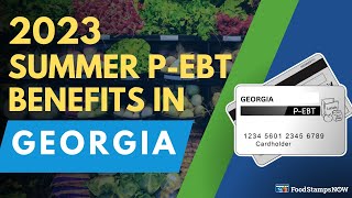 Summer 2023 PEBT in Georgia Payment Update [upl. by Assenaj]