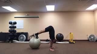 Stability Ball Pike PushUps [upl. by Kcirederf229]