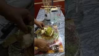 How To Remove Soursop Seeds amp Prepare Smoothie shorts [upl. by Ellehcsar]